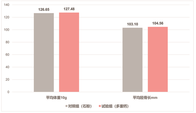 zoty中欧体育全站(中国)APP下载“多重钙”使用在蛋鸡上 zoty中欧体育全站(中国)APP下载“多重钙”使用在蛋鸡上