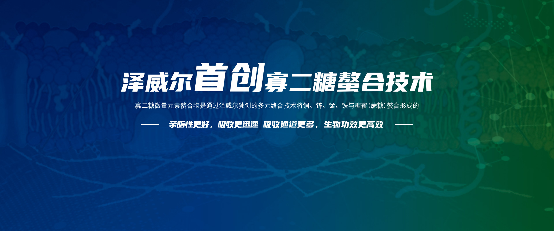 寡二糖技术