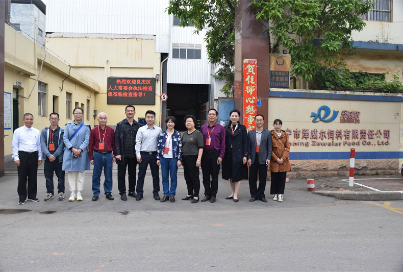 良庆区人大常委会检查组莅临zoty中欧体育全站(中国)APP下载检查指导