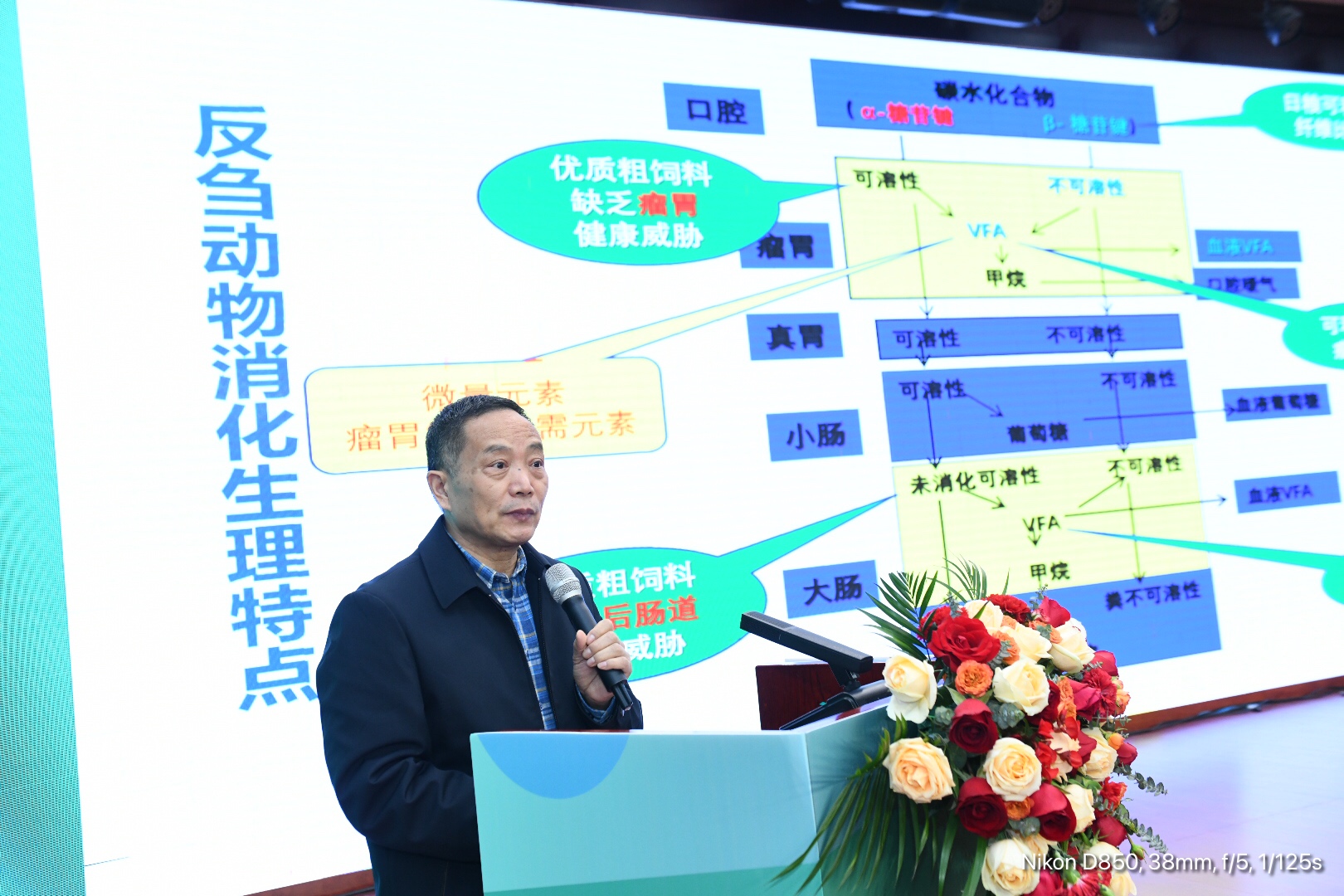 杨在宾教授