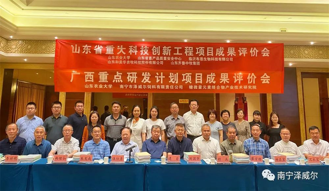 zoty中欧体育全站(中国)APP下载公司技术实力