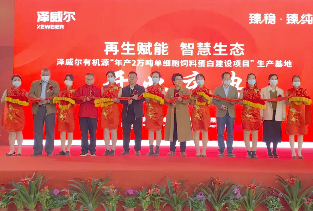 年产2万吨饲料蛋白基地落成开业