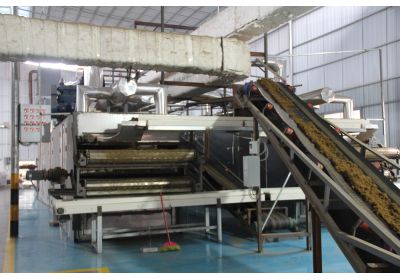 单细胞蛋白原料厂家-zoty中欧体育全站(中国)APP下载有机源车间